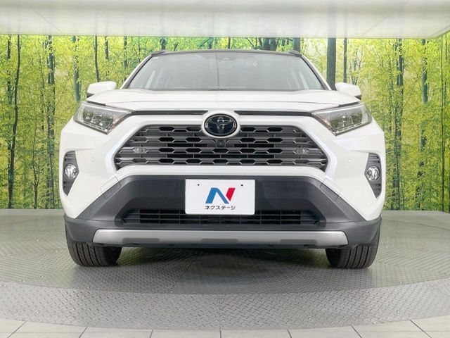 TOYOTA RAV4 4WD 2021 Image 31