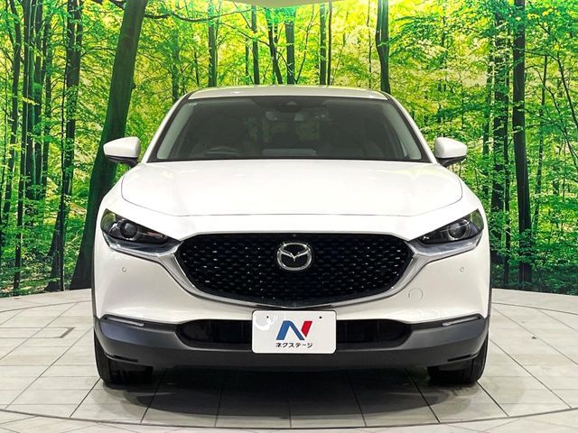 MAZDA CX-30 2019 Image 31