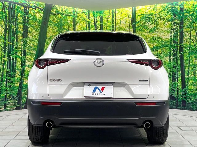 MAZDA CX-30 2019 Image 31