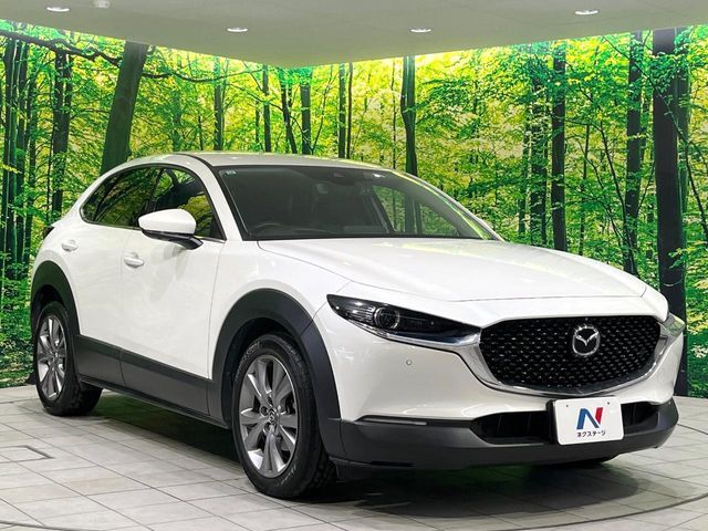 MAZDA CX-30 2019 Image 31