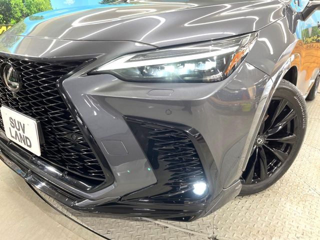 TOYOTA LEXUS NX350H 2023 Image 31