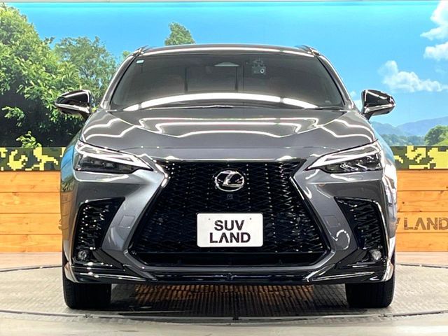 TOYOTA LEXUS NX350H 2023 Image 31