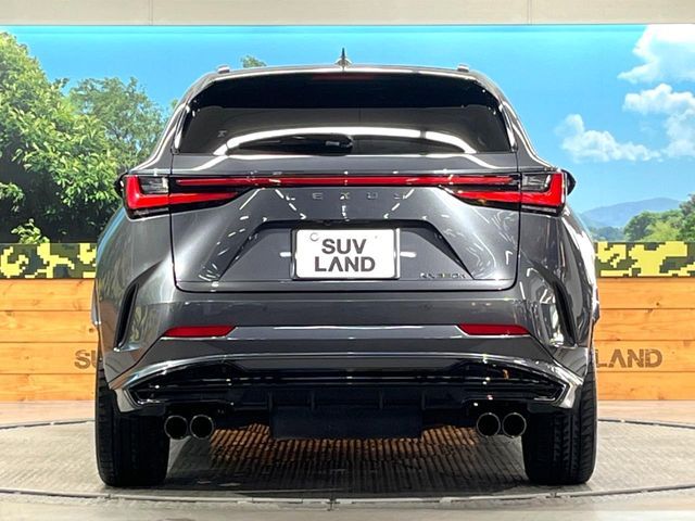 TOYOTA LEXUS NX350H 2023 Image 31