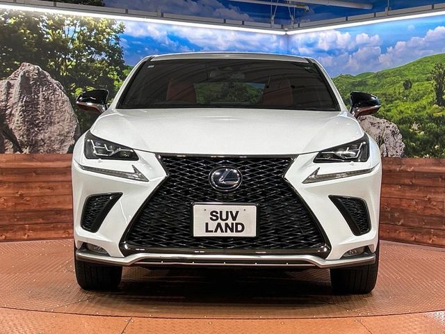 TOYOTA LEXUS NX300H 2019 Image 31