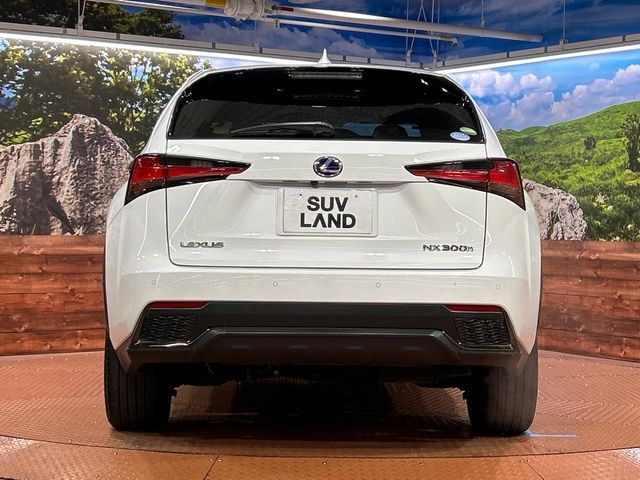 TOYOTA LEXUS NX300H 2019 Image 31