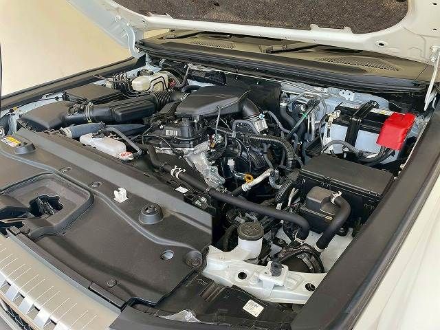 TOYOTA LANDCRUISER 250 2024 Image 31