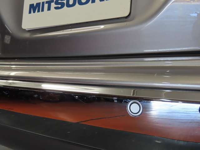 MITSUOKA LIKE RYUGI 2020 Image 31