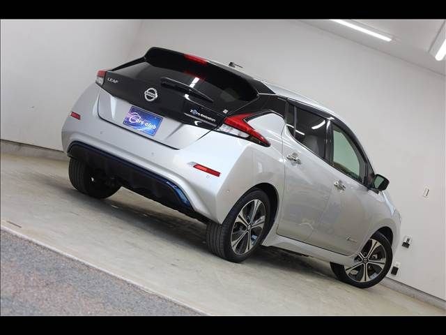 NISSAN LEAF 2019 Image 31