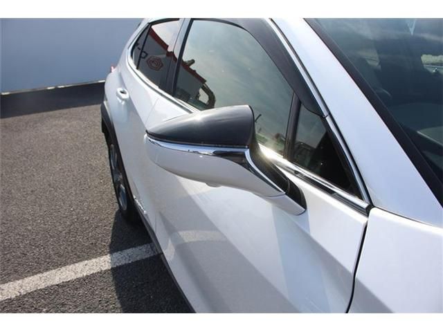 TOYOTA LEXUS UX300E 2021 Image 31