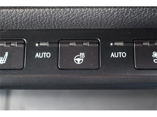 TOYOTA LEXUS UX300E 2021 Image 31