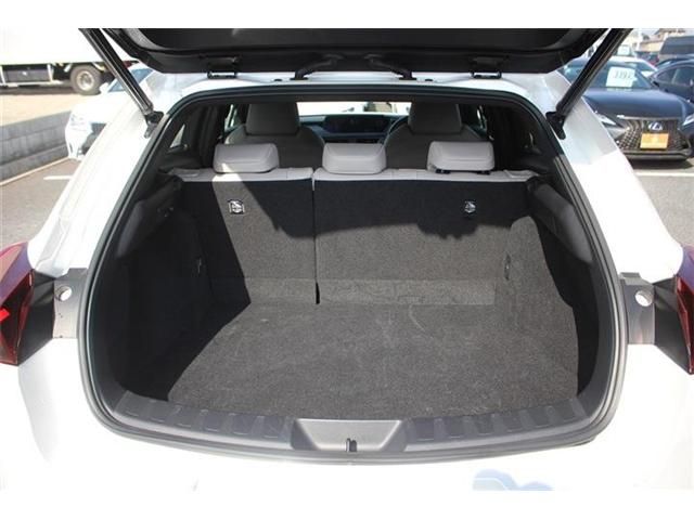 TOYOTA LEXUS UX300E 2021 Image 31