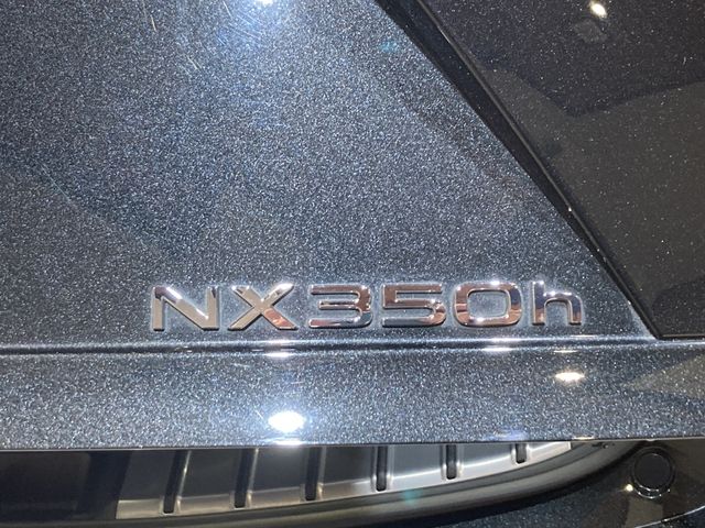 TOYOTA LEXUS NX350H 2021 Image 31