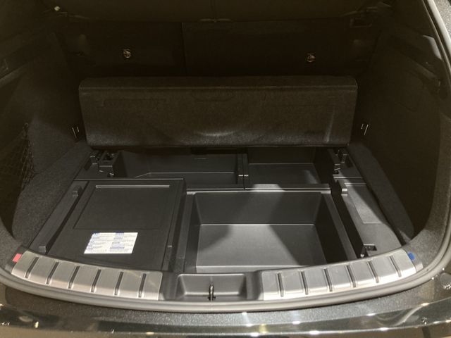 TOYOTA LEXUS NX350H 2021 Image 31