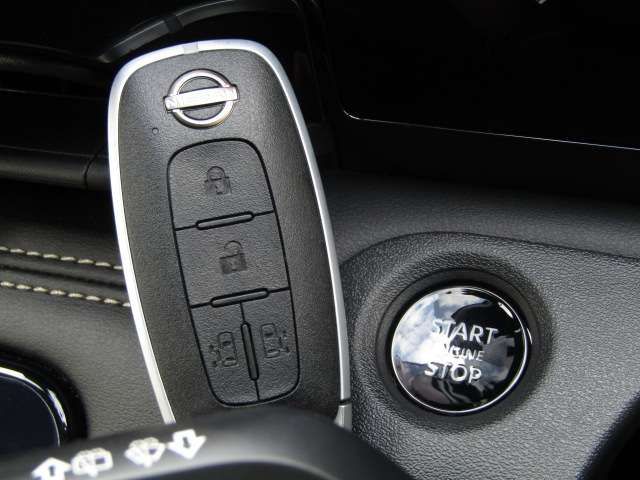 NISSAN SERENA  WG 2024 Image 31