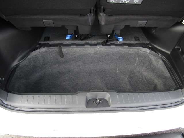 NISSAN SERENA  WG 2024 Image 31