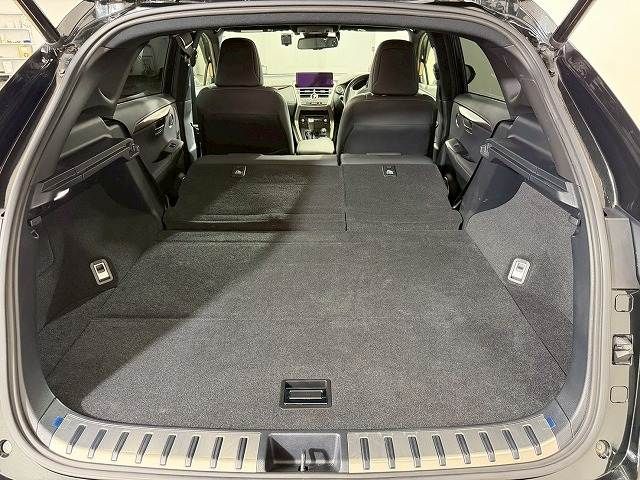 TOYOTA LEXUS NX300 2020 Image 31