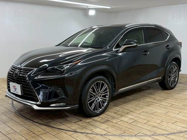 TOYOTA LEXUS NX300 2020 Image 31
