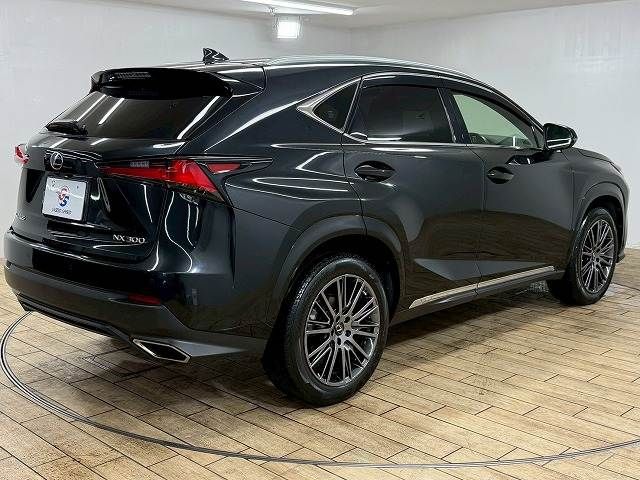 TOYOTA LEXUS NX300 2020 Image 31