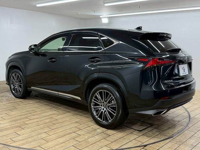 TOYOTA LEXUS NX300 2020 Image 31