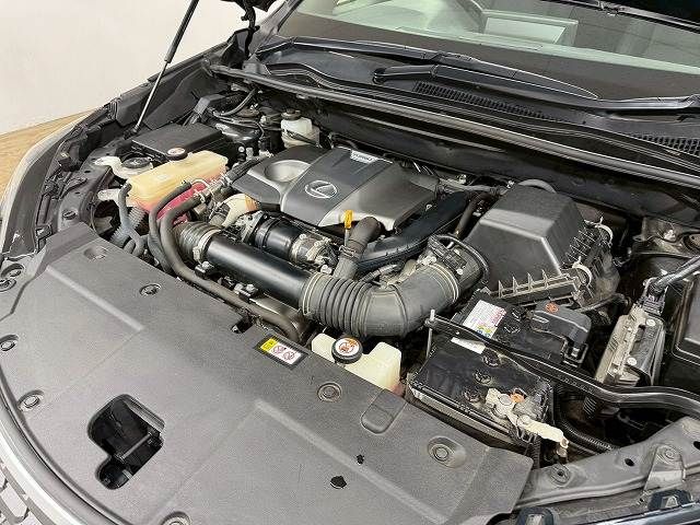 TOYOTA LEXUS NX300 2020 Image 31