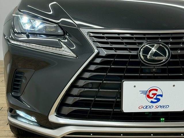 TOYOTA LEXUS NX300 2020 Image 31