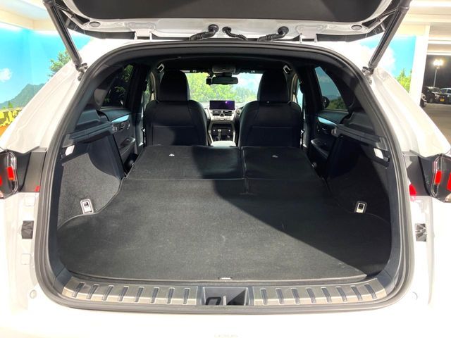 TOYOTA LEXUS NX300 AWD 2019 Image 31