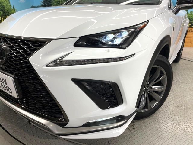 TOYOTA LEXUS NX300 AWD 2019 Image 31