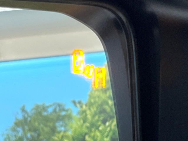 TOYOTA LANDCRUISER 250 2025 Image 31