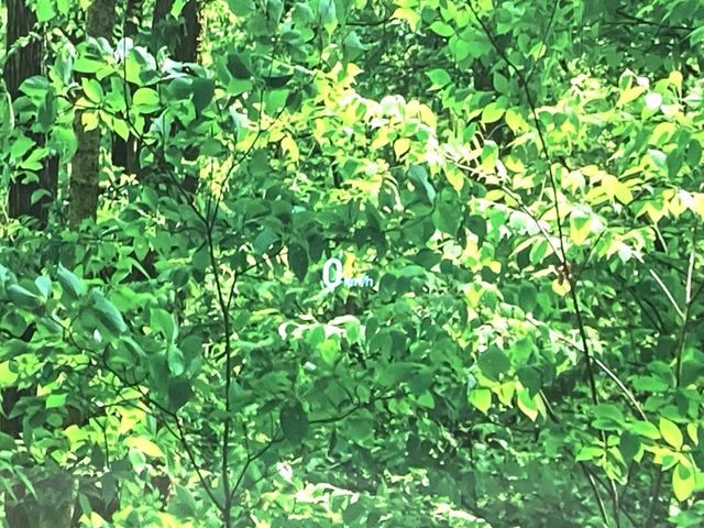 MAZDA CX-8 2021 Image 31