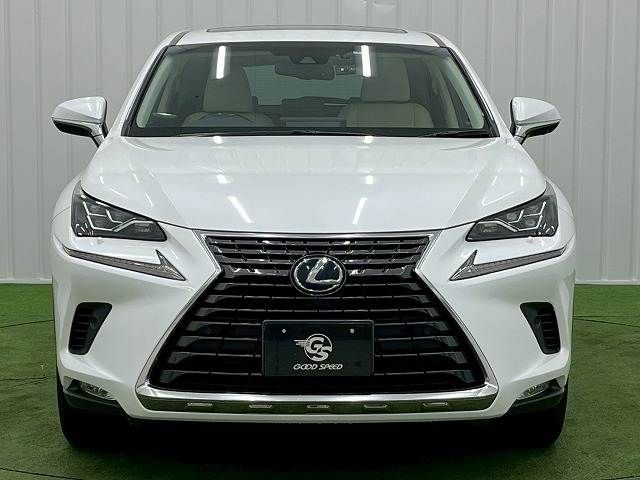 TOYOTA LEXUS NX300H 2019 Image 31