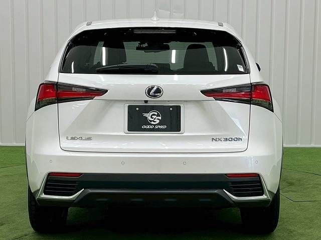 TOYOTA LEXUS NX300H 2019 Image 31