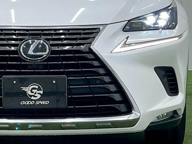 TOYOTA LEXUS NX300H 2019 Image 31