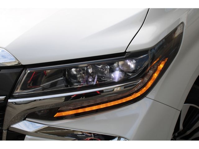 TOYOTA ALPHARD 2020 Image 31