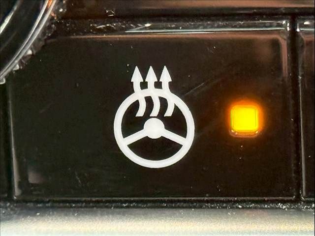 NISSAN X-TRAIL HYBRID 4WD 2023 Image 31