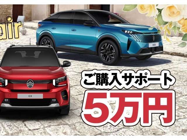 PEUGEOT 308 2025 Image 31