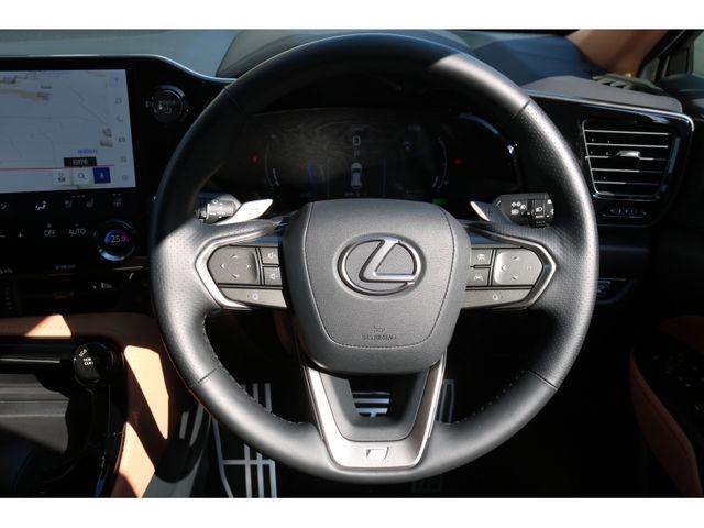 TOYOTA LEXUS NX350H AWD 2024 Image 31
