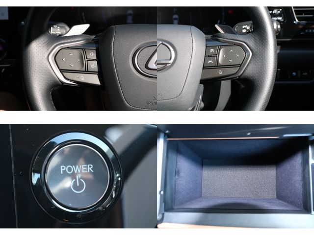 TOYOTA LEXUS NX350H AWD 2024 Image 31