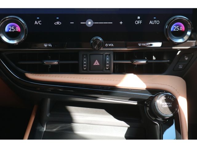 TOYOTA LEXUS NX350H AWD 2024 Image 31