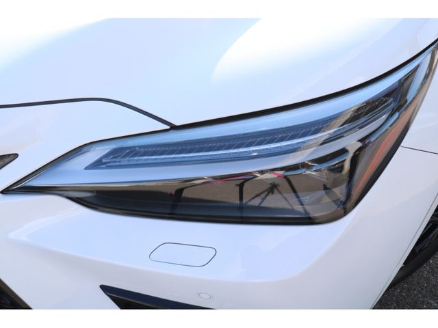 TOYOTA LEXUS NX350H AWD 2024 Image 31