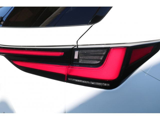 TOYOTA LEXUS NX350H AWD 2024 Image 31