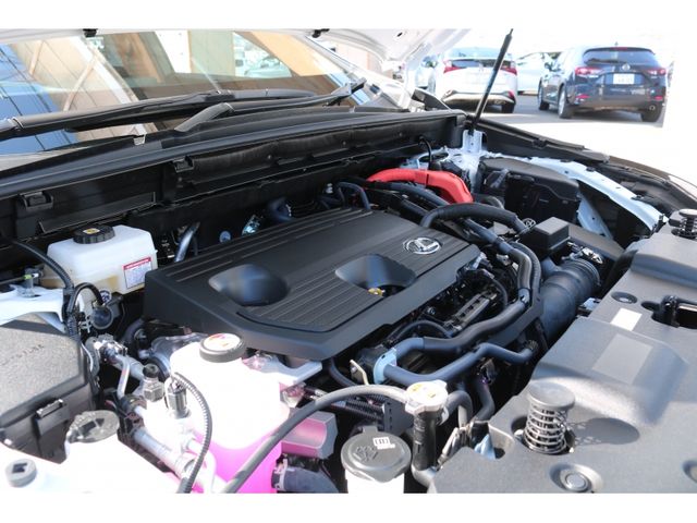 TOYOTA LEXUS NX350H AWD 2024 Image 31