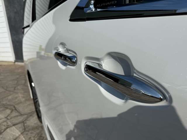 TOYOTA ALPHARD 2025 Image 31