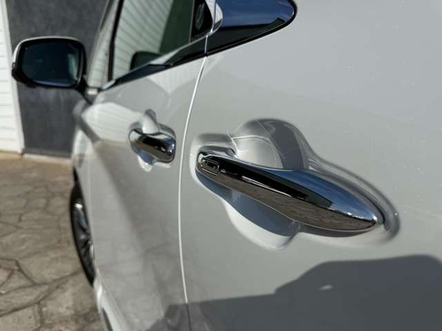 TOYOTA ALPHARD 2025 Image 31