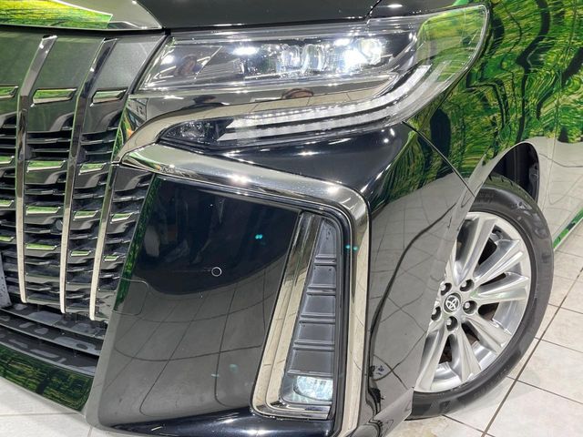 TOYOTA ALPHARD 2020 Image 31