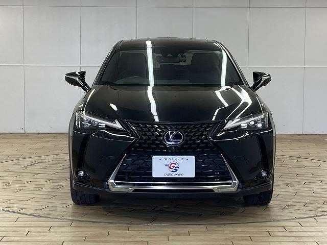 TOYOTA LEXUS UX300E 2021 Image 31