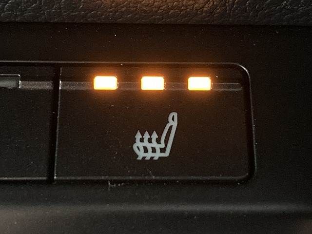 TOYOTA LEXUS UX300E 2021 Image 31