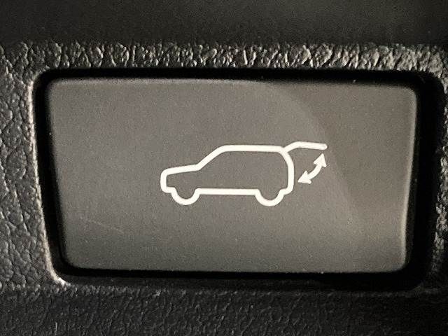 TOYOTA LEXUS UX300E 2021 Image 31