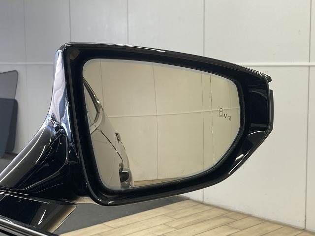 TOYOTA LEXUS UX300E 2021 Image 31