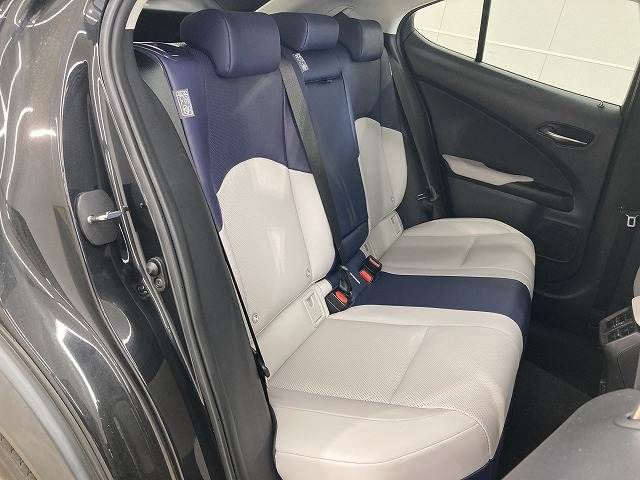 TOYOTA LEXUS UX300E 2021 Image 31