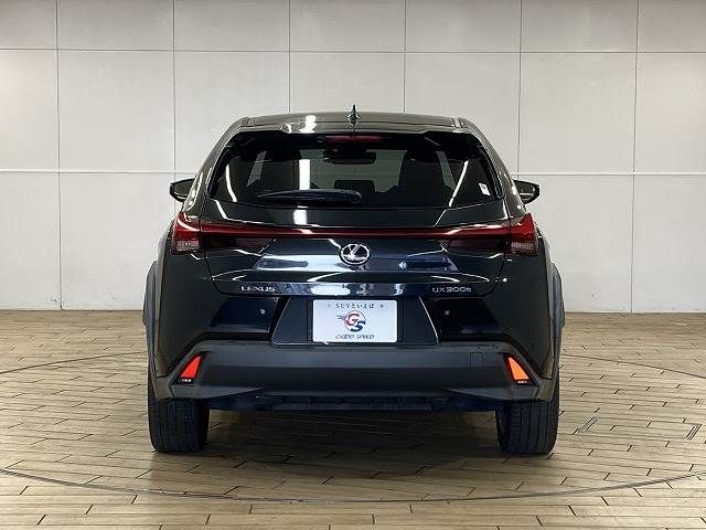 TOYOTA LEXUS UX300E 2021 Image 31